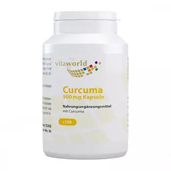 Vita World GmbH Curcumin 500mg Kapseln (120 Stk.)