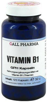 Hecht Pharma Vitamin B 1 GPH 1,4 mg Kapseln (120 Stk.)