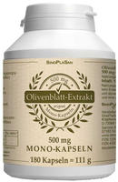 Olivenblatt-extrakt 500 mg Mono-Kapseln 180 St