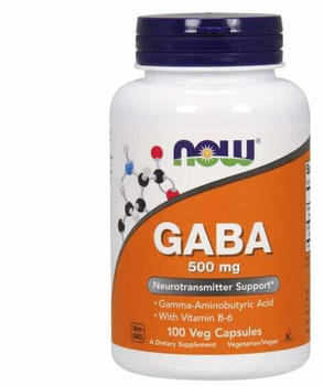 Now Foods Gaba + Vitamina B6 500mg