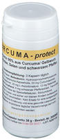 Curcuma Protect Kapseln 90 St
