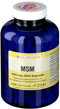 Hecht Pharma MSM 500mg GPH Kapseln (360 Stk.)