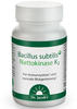 Bacillus subtilis plus Nattokinase-Enzym Vitamin K2 vegan 60 St