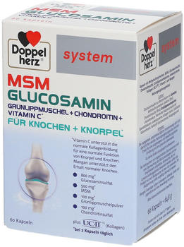 Queisser Doppelherz MSM Glucosamin System Kapseln (60Stk.)