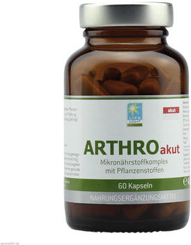 Life Light ARTHRO Akut Kapseln (60 Stk.)