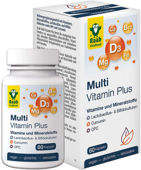 Raab Vitalfood Multi Vitamin Plus Kapseln (60 Stk.)