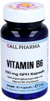 Hecht Pharma Vitamin B6 100mg GPH Kapseln (90 Stk.)