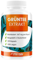 ProFuel Gr&uuml;ntee Extrakt