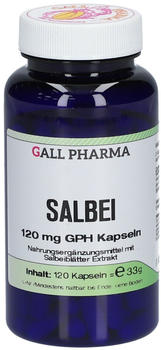 Hecht Pharma Salbei 120mg GPH Kapseln (120 Stk.)