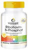 Riboflavin-5-Phosphat - Vitamin B2 - vegan - aktives Riboflavin - 100 Tabletten 
