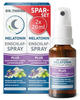 DR. THEISS Melatonin Einschlaf-Spray PLUS Spar-Set 2X20 ml