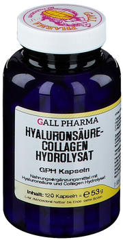 Hecht Pharma Hyaluronsäure-Collagen Hydrolysat GPH Kapseln (120 Stk.)