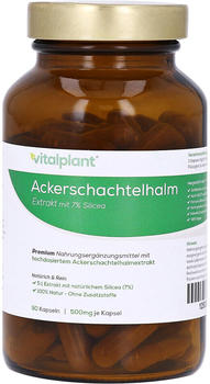Vitalplant Ackerschachtelhalm 500mg Extrakt Kapseln (90 Stk.)