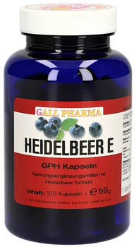 Bios Naturprodukte Heidelbeer E 400 mg Kapseln (120 Stk.)