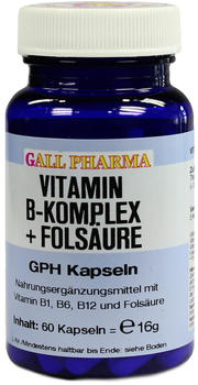 Hecht Pharma Vitamin B Komplex + Folsäure GPH Kapseln (60 Stk.)