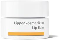Dr.hauschka Lippenkosmetikum 4,5 ml