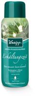 PZN-DE 06909651, Kneipp Aroma-Pflegeschaumbad Erk&auml;ltungszeit 400 ml Schaumbad,