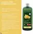 Logona Volumen-Shampoo Bier & Bio-Honig (500 ml)