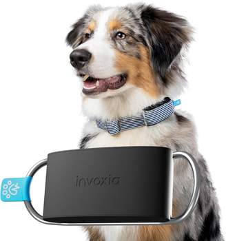 Invoxia Pet Activity & Location Tracker