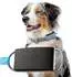Invoxia Pet Activity & Location Tracker