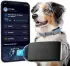 Invoxia Pet Activity & Location Tracker
