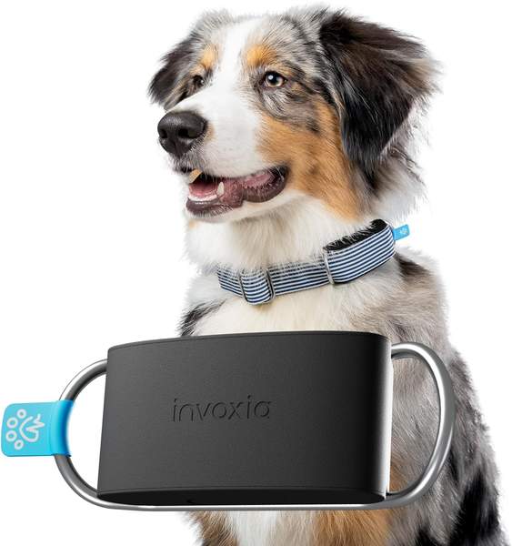 Invoxia Pet Activity & Location Tracker