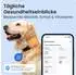 Tractive Dog 6