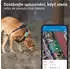 Tractive Dog XL
