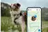 Tractive Dog XL