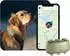 Tractive Dog XL