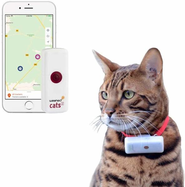Weenect Cats 2 GPS Tracker für Katzen Erfahrungen 3.6/5 Sternen