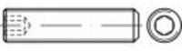 TOOLCRAFT TO-5369679 Gewindestift M6 16mm Edelstahl A1, A2 25St.