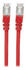 Intellinet CAT 6 S/FTP Patchkabel 20m rot