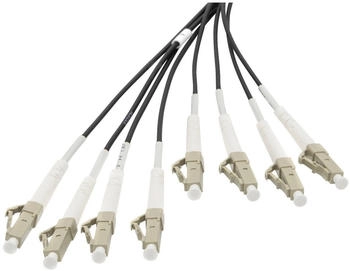Digitus Breakout cable 8 Fibers OM4 LC/UPC-LC/UPC universal color black 100m (DK-24338U100BK-BBB)