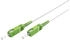 Wentronic Glasfaserkabel 0,5 m SC/APC FTTH OS2 Weiß (59593)