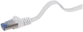 Renkforce RF-4149834 RJ45 Patchkabel CAT 6a U/FTP 0.25m Grau hochflexibel mit Rastnasenschutz 1St.