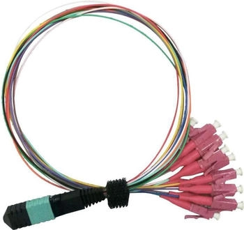 Value MPO-Fanout-Kabel 50 125µm OM4 2m violett 21.99.1100