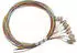 Lanview Pigtail LC/UPC 50/125 OM3 2meters PVC Grade C (LVO-PIG-LCUPC-12CORE-OM3-2M)