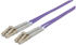 Intellinet LWL Duplex LC/LC OM4 3m violett