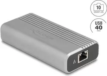DeLock USB4 10 Gigabit Ethernet (64349)
