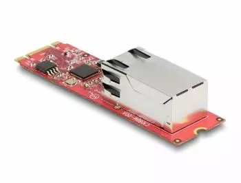 DeLock Netzwerkkarte M.2, 2,5 Gigabit Ethernet, 1x RJ45 (62985)