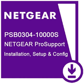 Netgear ProSupport Professional Setup and Configuration (PSB0304-10000S)