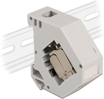 DeLock Hutschienenadapter mit Keystone Modul RJ45 Buchse Cat.6A LSA (86014)