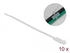 DeLock Cable Tie with Label Tap Kabelbinder 27cm weiß (Packung mit 10) (18957)