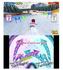 Dual Pen Sports (3DS)