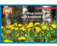 Hase und Igel Verlag GmbH Kamishibai: Was blüht und krabbelt da?