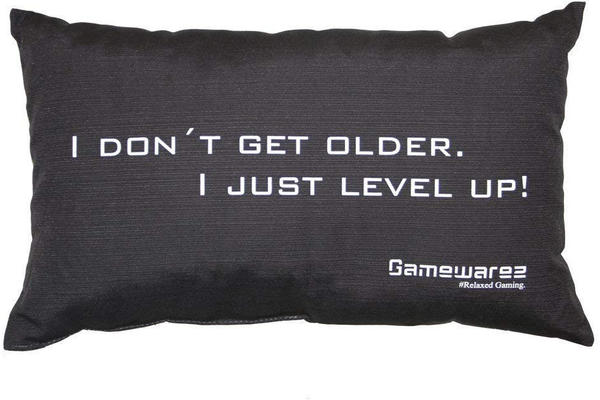 GAMEWAREZ I don't get older. I just level up! 30x50cm