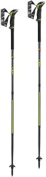 Leki Sherpa FX.One Carbon
