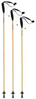 Ferrino Stick Eiger
