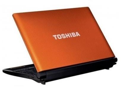 Software & Ausstattung Toshiba Mini NB550D-11D